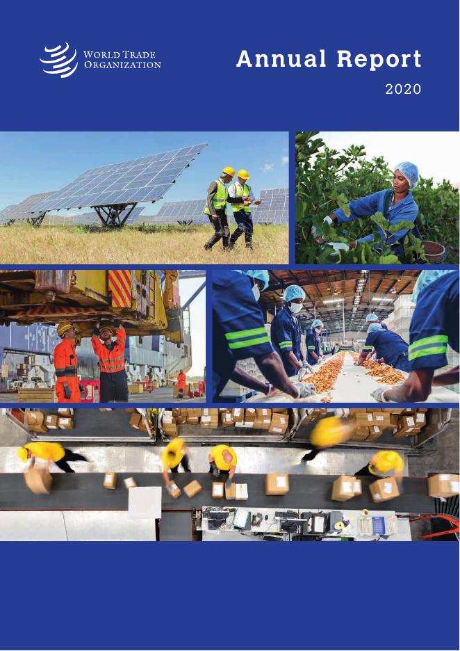 WTO Annual Report 2020